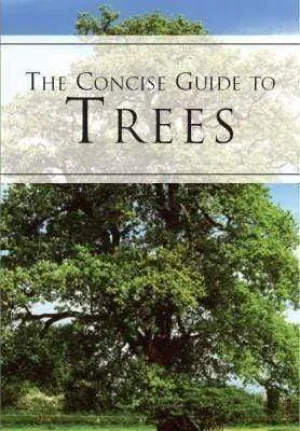 A Concise Guide To Trees