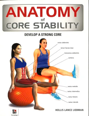 Anatomy Of Core Stability