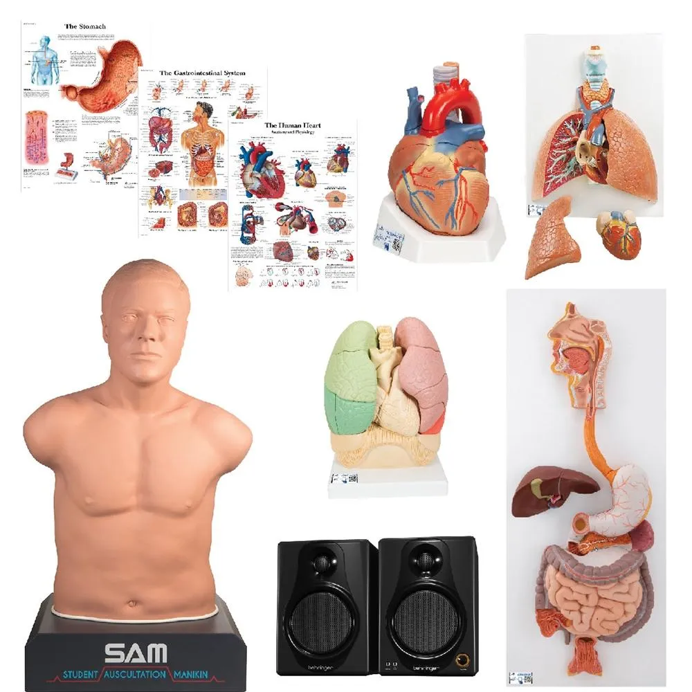 Auscultation Training Set, Advanced Lab