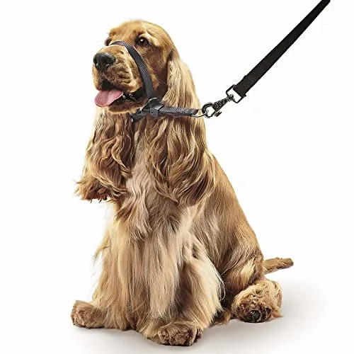 Beaphar Gentle Leader Head Collar for Medium Dogs Stops Pulling on the Lead