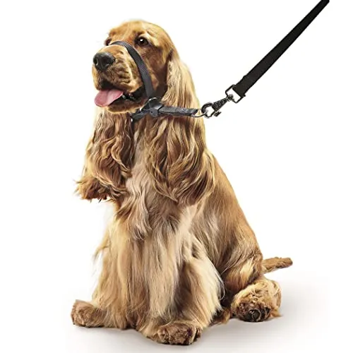 Beaphar Gentle Leader Head Collar for Medium Dogs Stops Pulling on the Lead