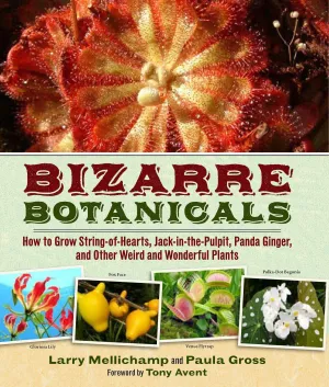 Bizarre Botanicals