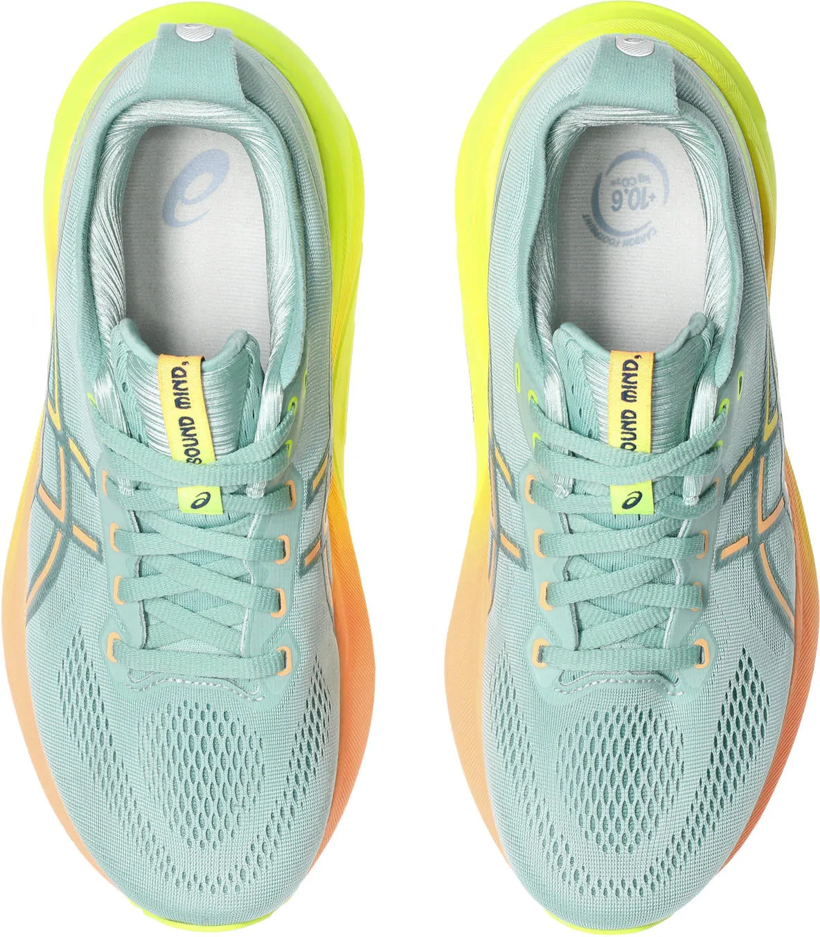 Gel-Kayano 31 Paris Women's Running Shoes