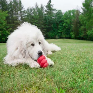 KONG Classic Red