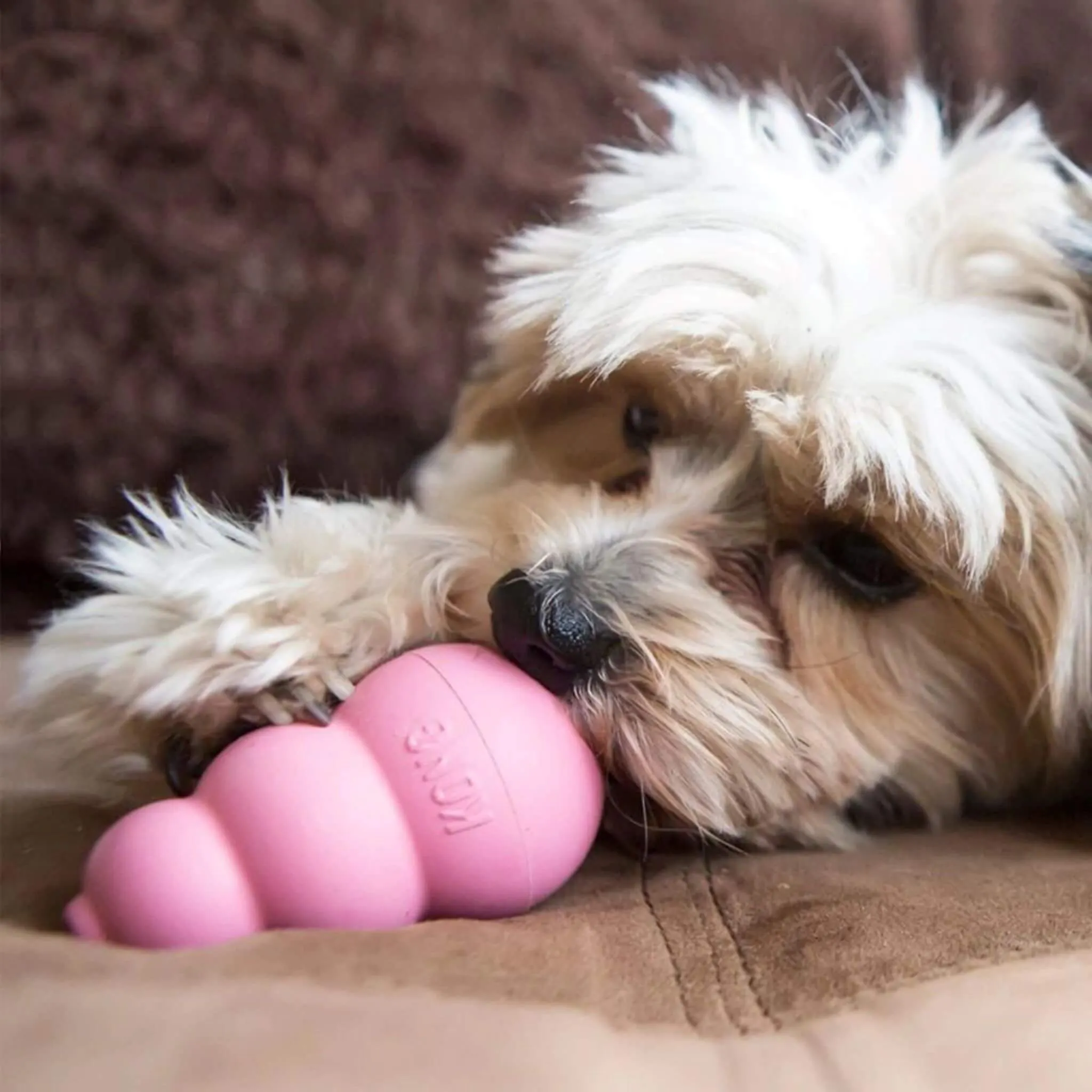 KONG Puppy Rubber Chew Toy