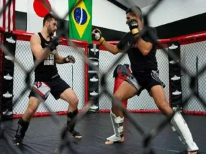 MMA Cage Fighter Training School Business Plan