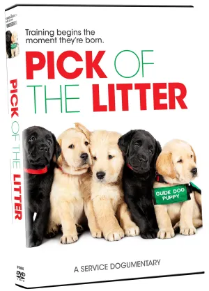 Pick of the Litter