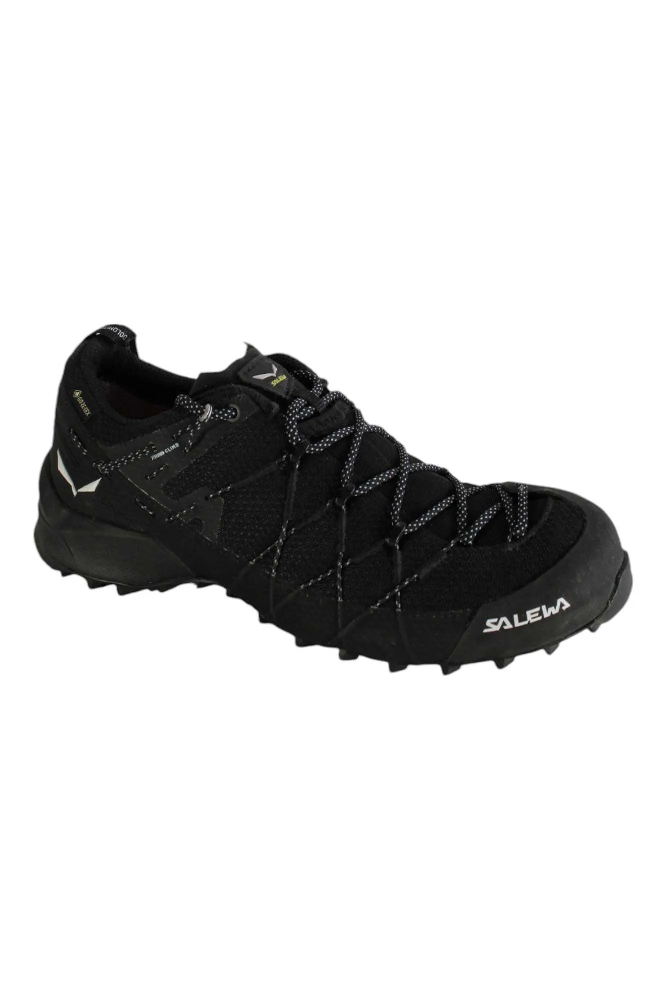 Salewa Women's Wildfire 2 GTX Shoe