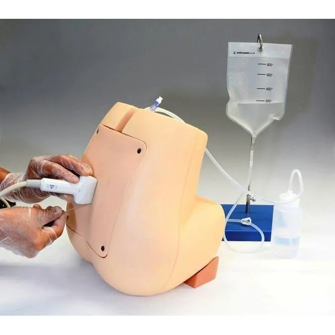 Ultrasound Lumbar Puncture Simulator