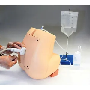 Ultrasound Lumbar Puncture Simulator